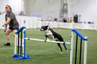 BegNovAgility202618