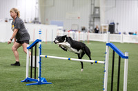 BegNovAgility202619