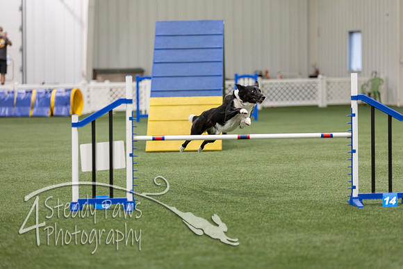 BegNovAgility202621