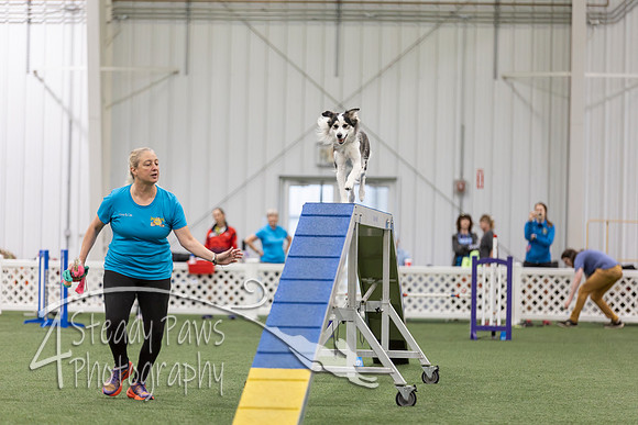 BegNovAgility202625