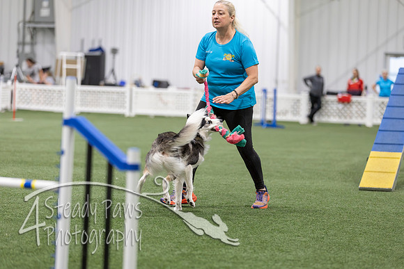 BegNovAgility202627