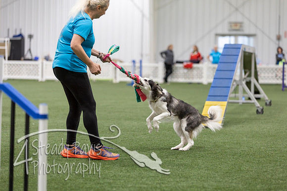 BegNovAgility202628