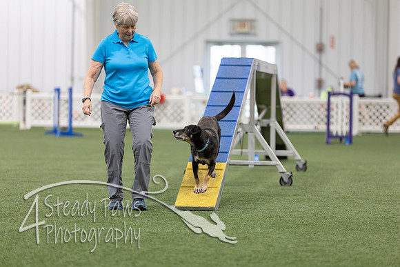 BegNovAgility202632