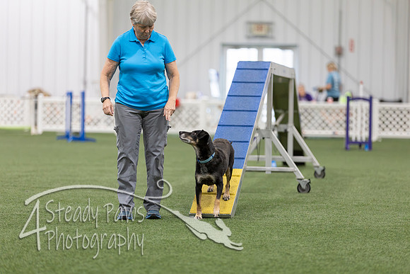 BegNovAgility202633