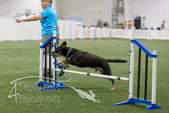 BegNovAgility202634