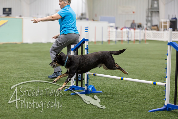 BegNovAgility202635