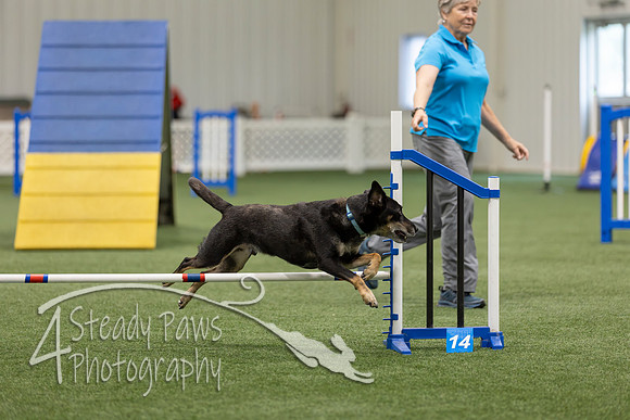 BegNovAgility202637