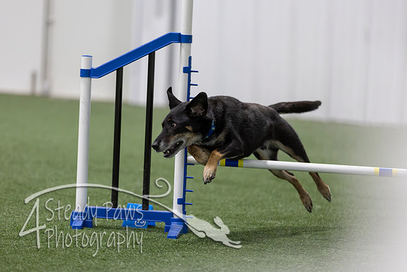 BegNovAgility202638