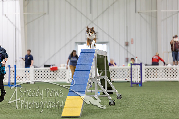 BegNovAgility202639