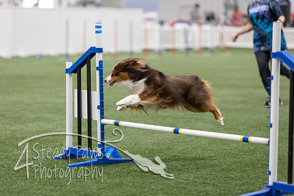 BegNovAgility202642