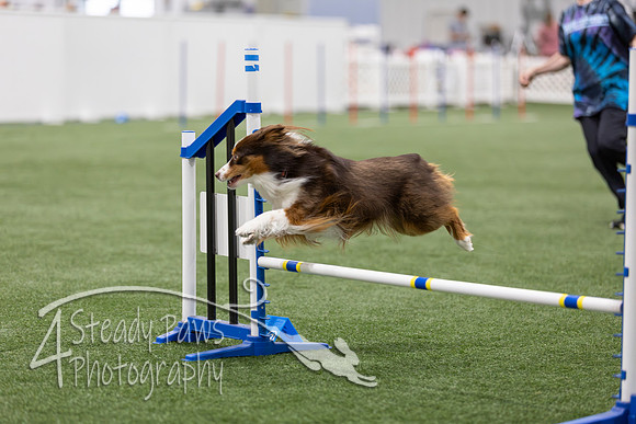 BegNovAgility202643
