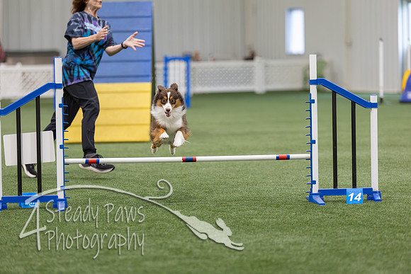 BegNovAgility202644