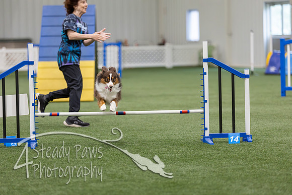 BegNovAgility202645