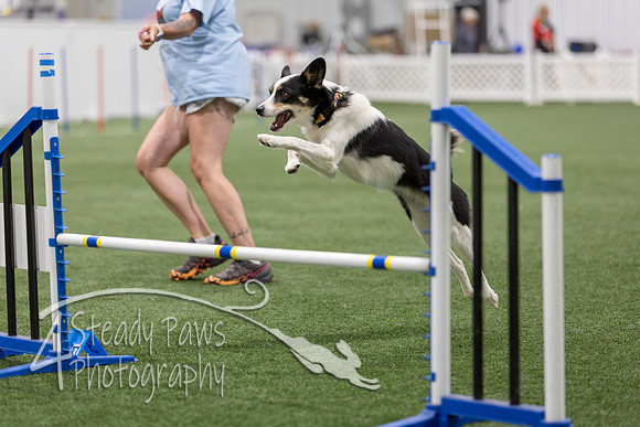 BegNovAgility202651