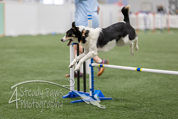 BegNovAgility202652