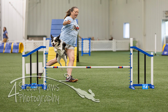 BegNovAgility202653