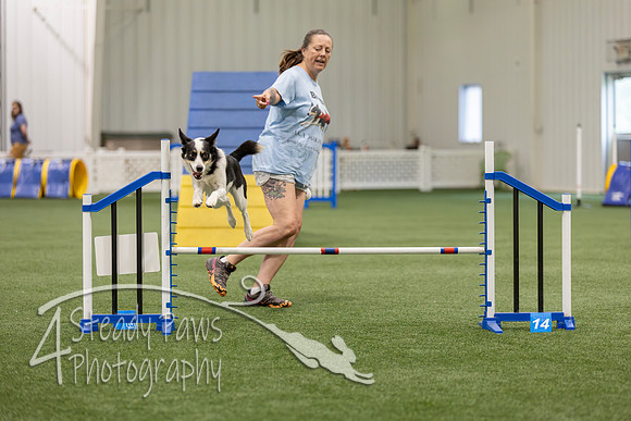 BegNovAgility202654