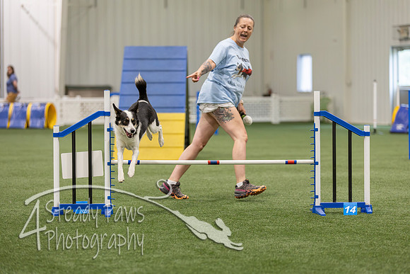 BegNovAgility202655