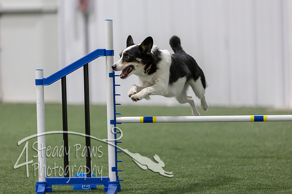 BegNovAgility202656