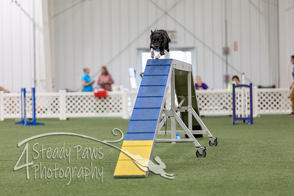 BegNovAgility202657