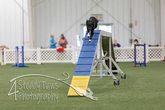 BegNovAgility202658