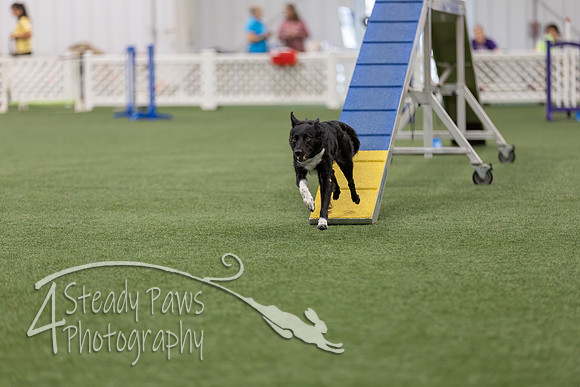 BegNovAgility202659