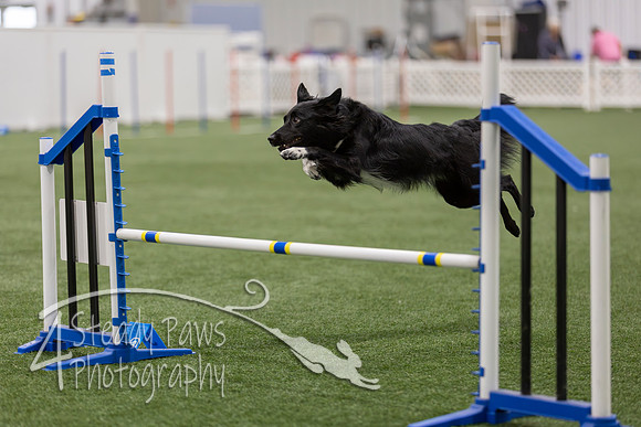 BegNovAgility202661