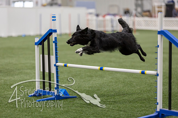 BegNovAgility202662