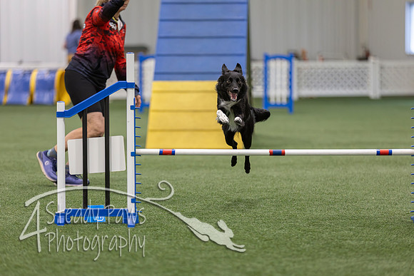 BegNovAgility202663
