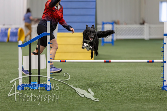 BegNovAgility202664