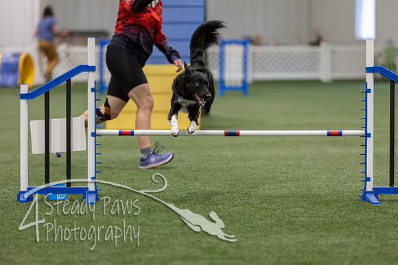 BegNovAgility202665