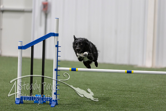 BegNovAgility202666