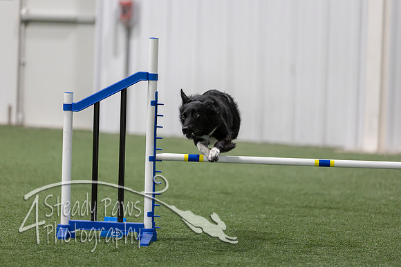 BegNovAgility202667