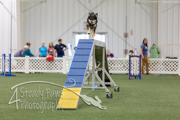 BegNovAgility202668
