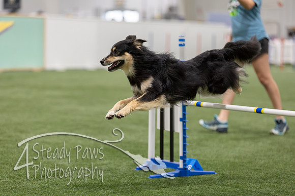 BegNovAgility202669