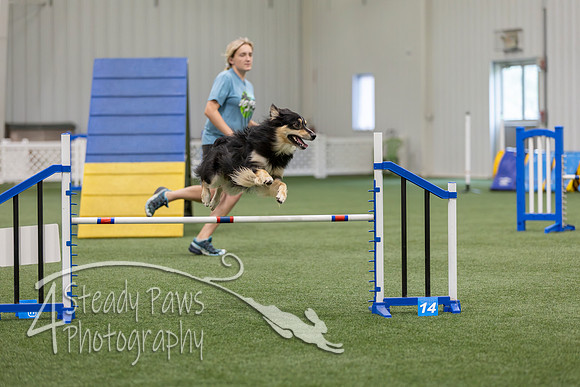BegNovAgility202672