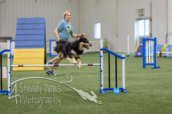 BegNovAgility202673