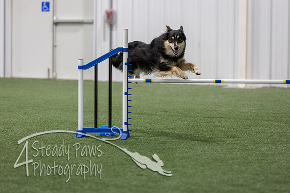 BegNovAgility202674
