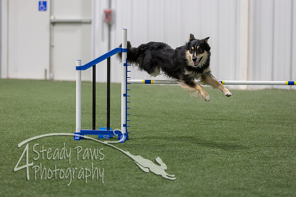 BegNovAgility202675