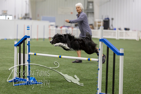 BegNovAgility202676