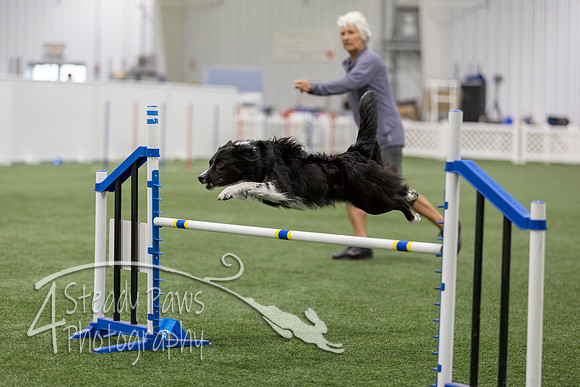 BegNovAgility202677