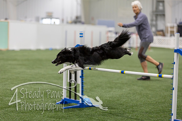 BegNovAgility202679