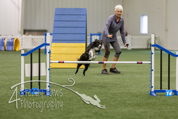 BegNovAgility202680