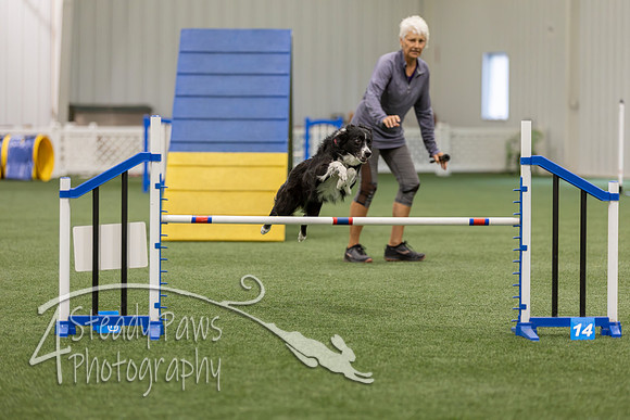 BegNovAgility202681