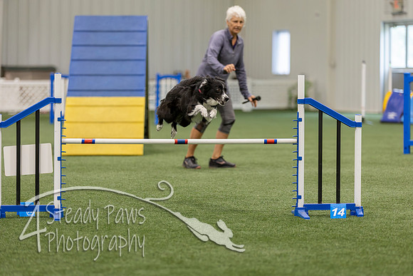 BegNovAgility202682