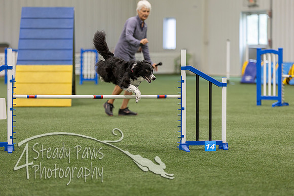BegNovAgility202683