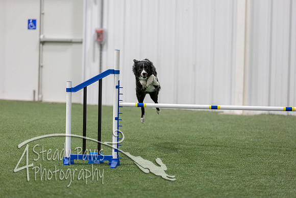 BegNovAgility202684