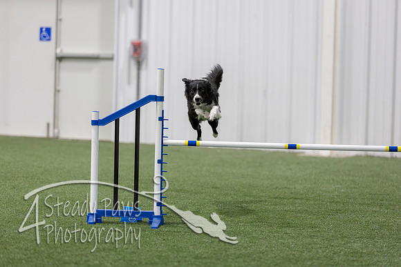 BegNovAgility202685