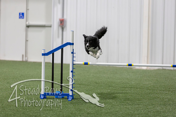 BegNovAgility202686