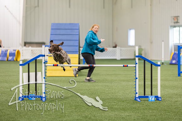 BegNovAgility202691